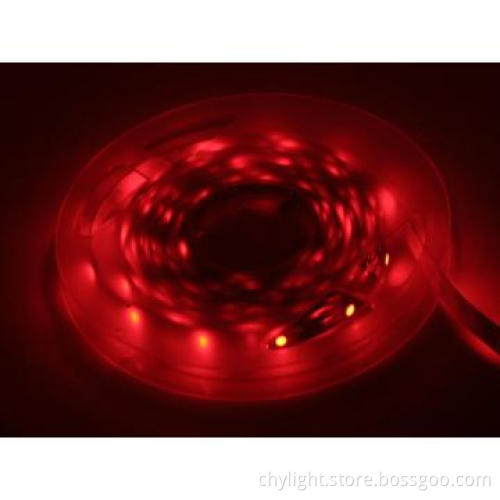 LED 5050 Strip Lighting with 2 Years Warranty